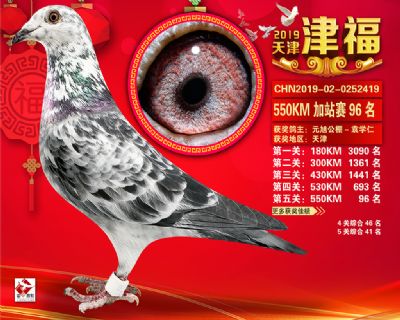 天津津福加站賽96名