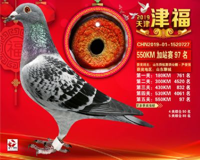 天津津福加站賽97名