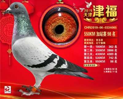 天津津福加站賽98名