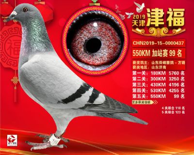 天津津福加站賽99名