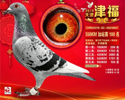 天津津福加站賽100名