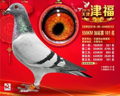 天津津福加站賽101名