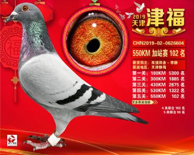 天津津福加站賽102名