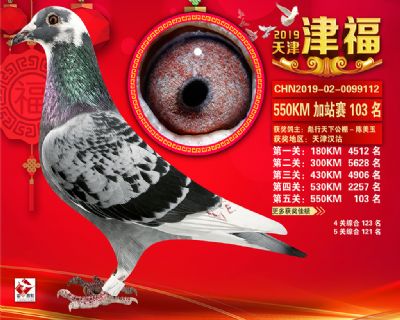 天津津福加站賽103名