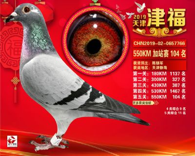 天津津福加站賽104名