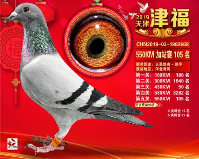 天津津福加站賽105名