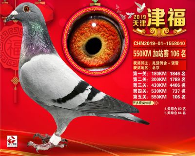 天津津福加站賽106名