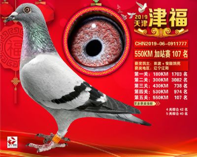 天津津福加站賽107名