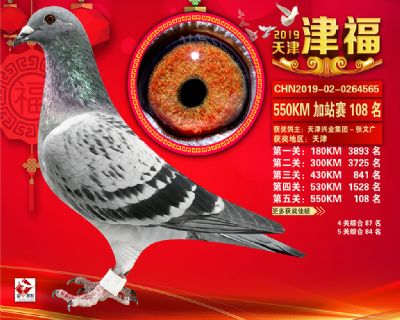 天津津福加站賽108名