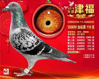天津津福加站賽110名