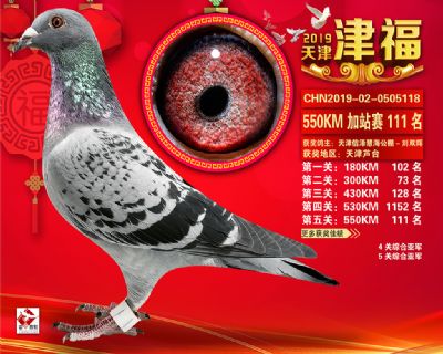 天津津福加站賽111名