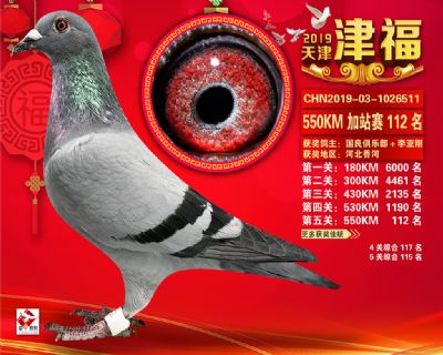 天津津福加站賽112名