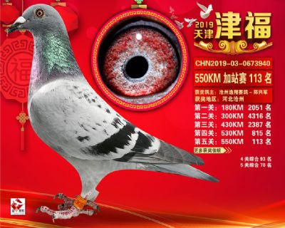 天津津福加站賽113名