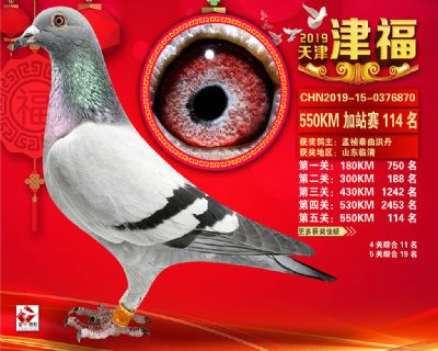 天津津福加站賽114名