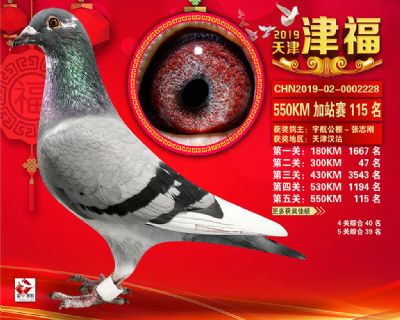 天津津福加站賽115名