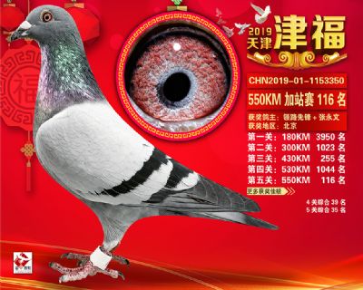 天津津福加站賽116名