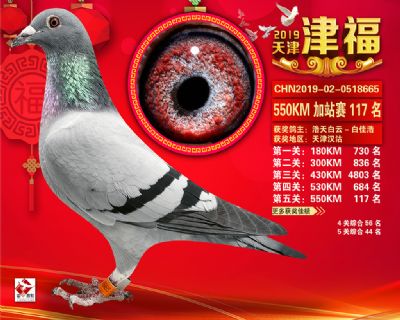 天津津福加站賽117名