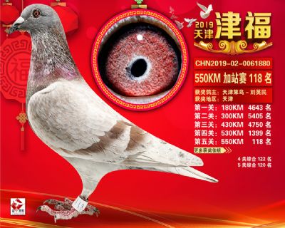 天津津福加站賽118名