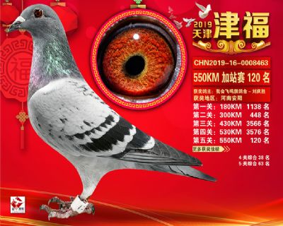 天津津福加站賽120名