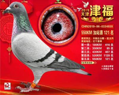 天津津福加站賽121名