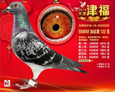 天津津福加站賽122名