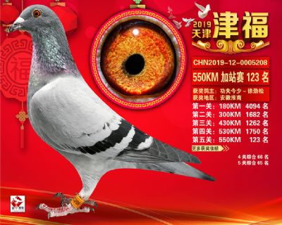 天津津福加站賽123名