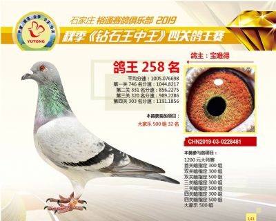 石家庄裕通四关鸽王258名