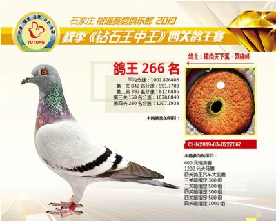 石家庄裕通四关鸽王266名