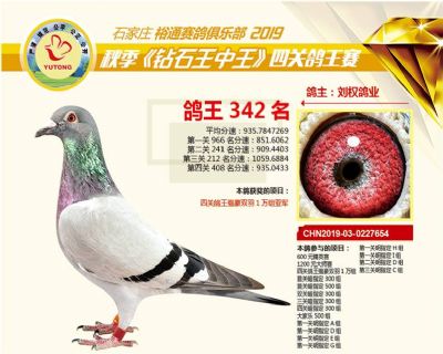 石家庄裕通四关鸽王342名
