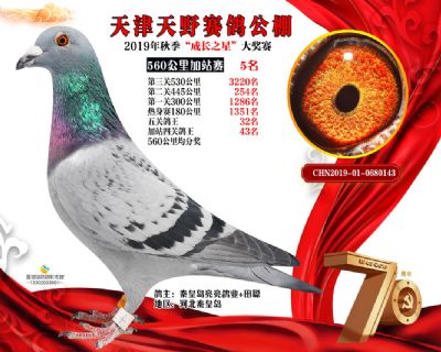 天津天野加站赛5名