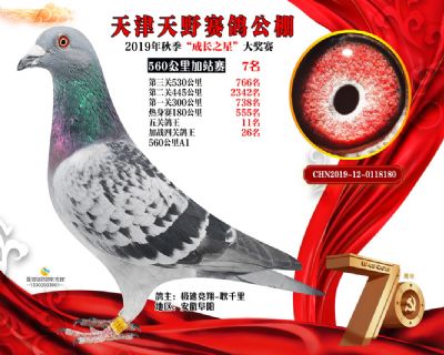 天津天野加站赛7名