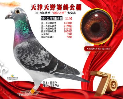 天津天野加站赛11名