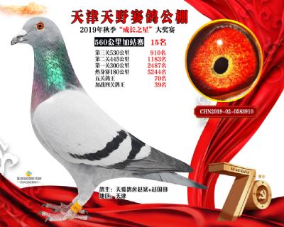 天津天野加站赛15名