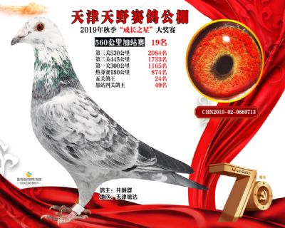 天津天野加站赛19名