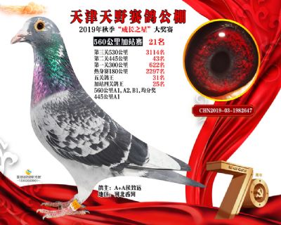 天津天野加站赛21名