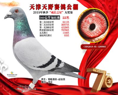 天津天野加站赛22名