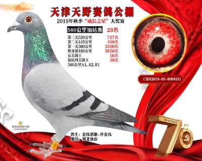 天津天野加站赛23名