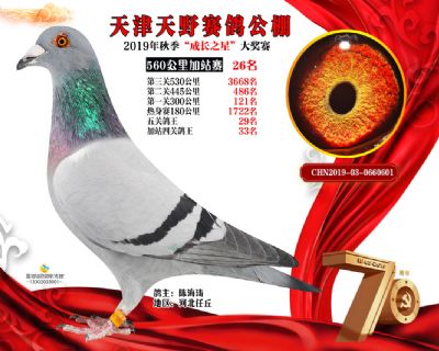 天津天野加站赛26名