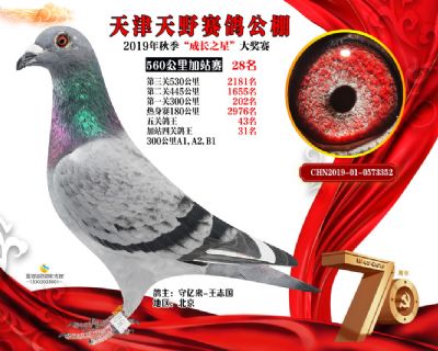天津天野加站赛28名