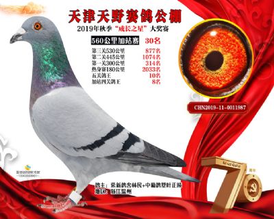 天津天野加站赛30名