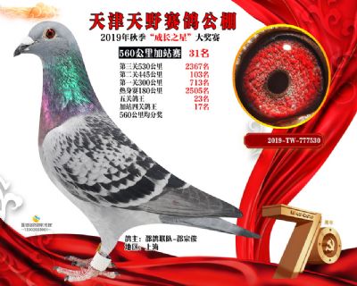 天津天野加站赛31名
