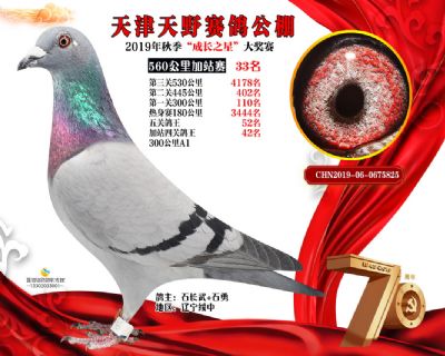 天津天野加站赛33名