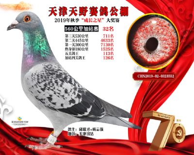 天津天野加站赛32名