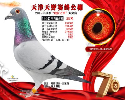 天津天野加站赛35名