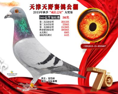 天津天野加站赛36名