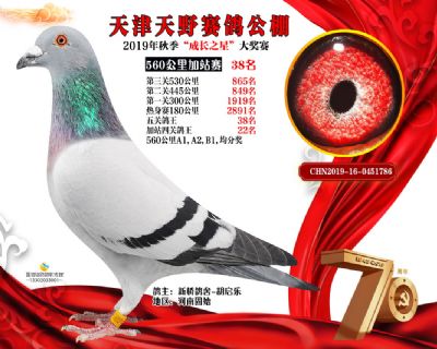 天津天野加站赛38名