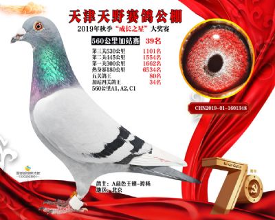 天津天野加站赛39名