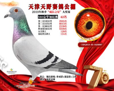 天津天野加站赛42名