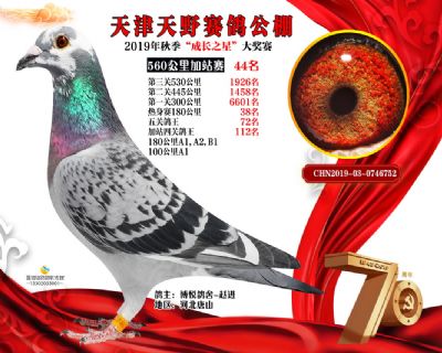 天津天野加站赛44名