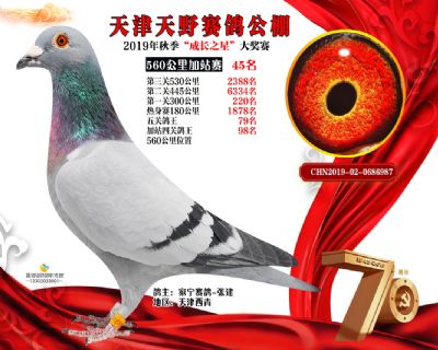 天津天野加站赛45名